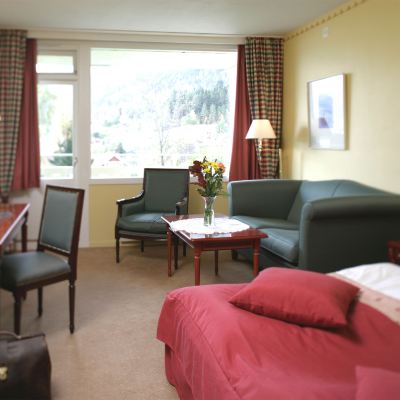 Double Standard Equipped for Handicapped Kviknes Hotel Promo Code