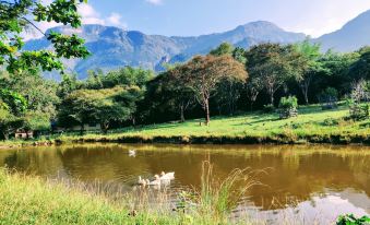 a serene landscape with a pond surrounded by grass and trees , as well as a mountain in the background at Jungle Hut