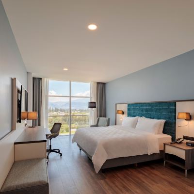 Standard King Room with Mountain View Holiday Inn Quito Airport, an IHG Hotel Promo Code