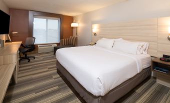 Holiday Inn Express & Suites Detroit - Utica