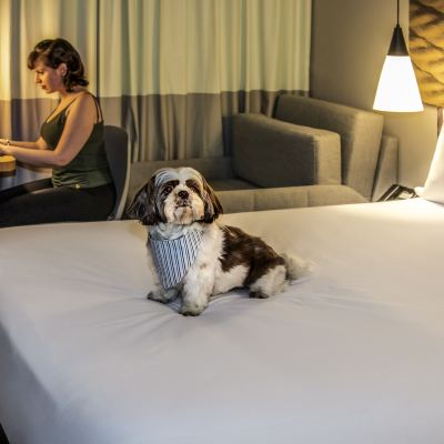 標準間 - 雙人床和1張梳化床 聖保羅塔圖佩宜必思酒店優惠