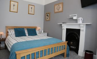 a cozy bedroom with a bed , a fireplace , and a tv . the room is painted in gray and has a blue comforter at Acorns Guest House