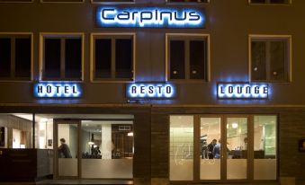 Hotel Carpinus - Housity