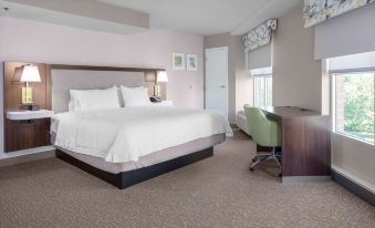Hampton Inn & Suites by Hilton Arlington Crystal City DCA