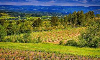 O'Vineyards B&B Carcassonne