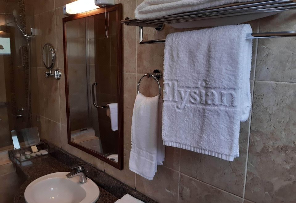 豪華房 - 帶1張大床