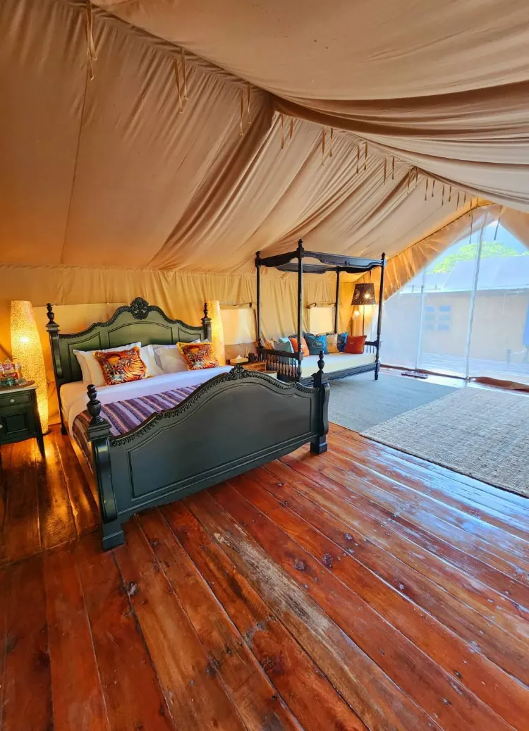 VIP Luxury Tented Camp Elephant