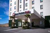 Best Western Plus Chihuahua Juventud Các khách sạn ở 