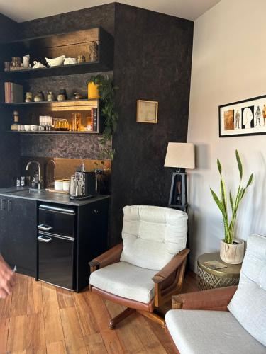 豪华一卧室公寓