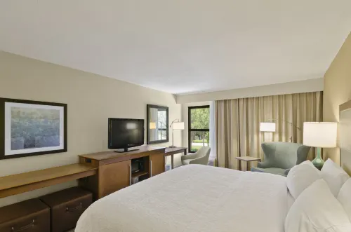 Hampton Inn Mt. Dora
