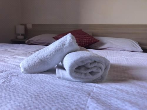 El Malget Double or Twin Room with Private Bathroom