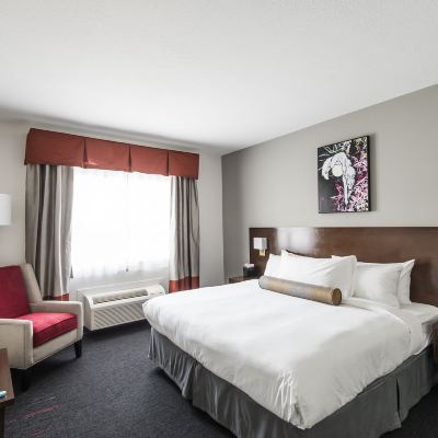 Deluxe King Room Edgewater Hotel Promo Code