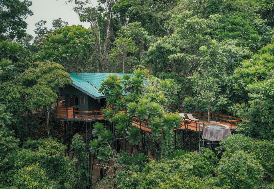 Hotel Chachagua Rainforest Hotel & Hot Springs, Exterior, Hotel Exterior