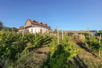 Antichi Orti del Sole