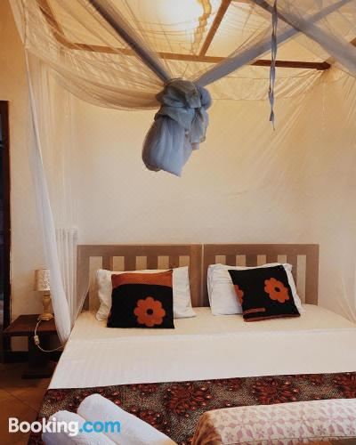 别墅（带独立泳池）