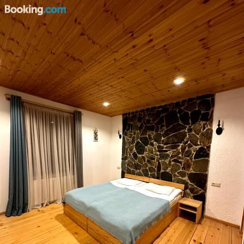 山景标准双床房