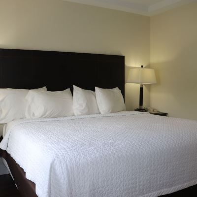 Deluxe Studio Suite Curtis Inn & Suites Promo Code