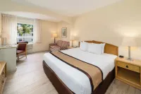 Quality Hotel Real Aeropuerto San Salvador Hotels in 