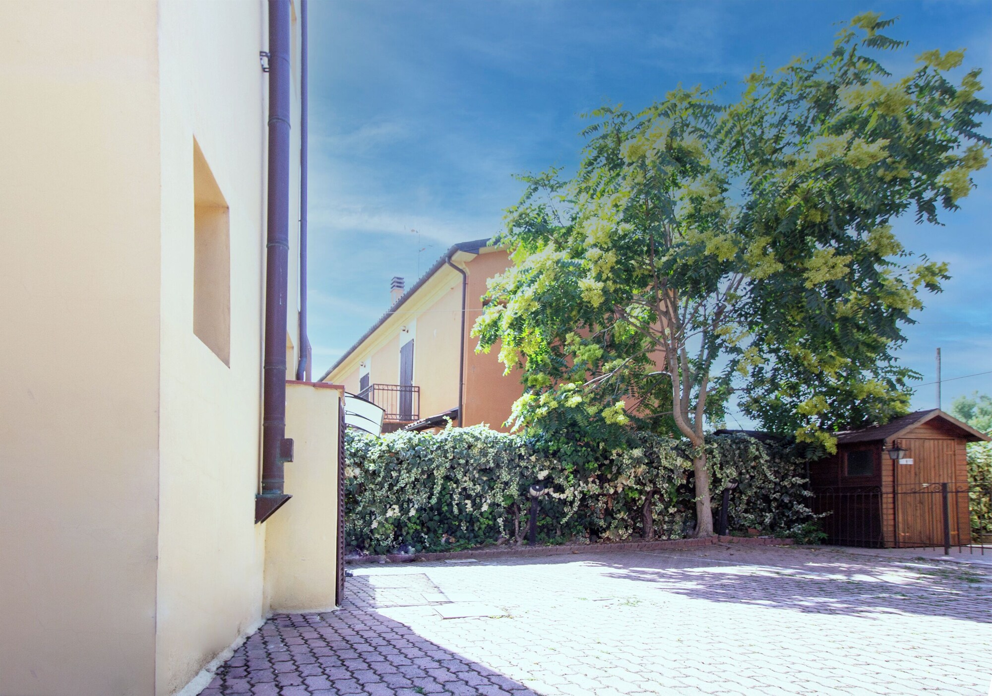 标准双人或双床房