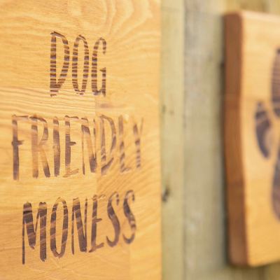 Standard Apartment, 3 Bedrooms, Pets Allowed (Sleeps 8) Moness Resort Promo Code