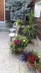 Wild Rose Bed & Breakfast Ξενοδοχεία στην πόλη 
