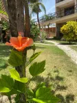 Pousada Aruana