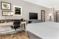 Country Inn & Suites by Radisson, Georgetown, KY Hotéis em 