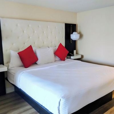 Standard King Room With Jetted Tub Tiki Resort Promo Code