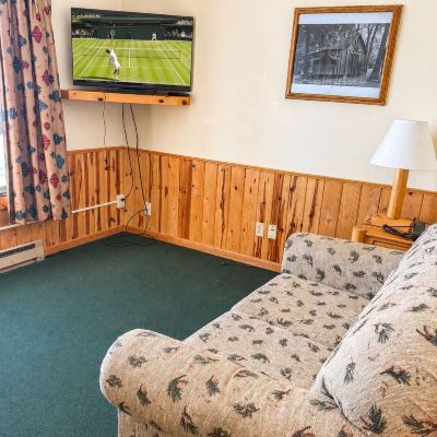 Room, Multiple Beds (Four-Plex King Split) Ruttger's Bay Lake Resort Promo Code