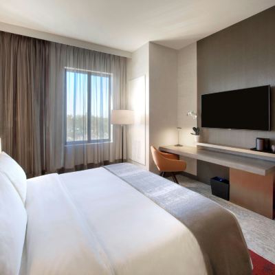 Deluxe King Room With Bathtub-Mobility Accessible THesis Hotel Miami Promo Code