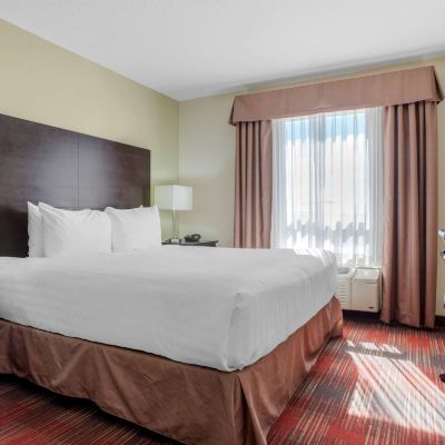 1 King Bed, Non-Smoking, High Speed Internet Access, Mini Suite, Sofabed, Microwave And Refrigerator, Full Breakfast Best Western Plus Red Deer Inn & Suites Promo Code