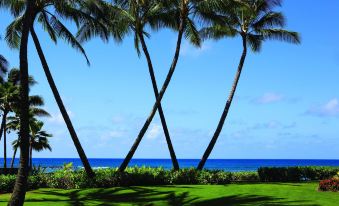 Marriott's Waiohai Beach Club