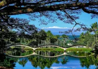 Incredible View in Hilo - Pool, A/C, #708