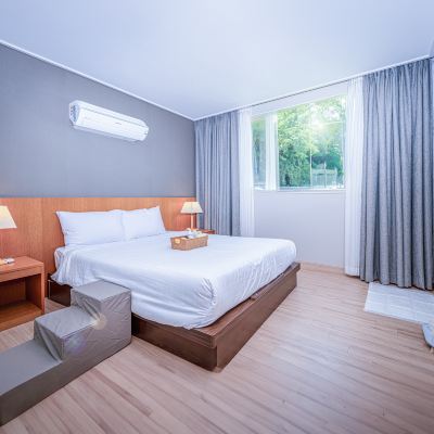 펫룸 완도 루미아호텔앤리조트 쿠폰