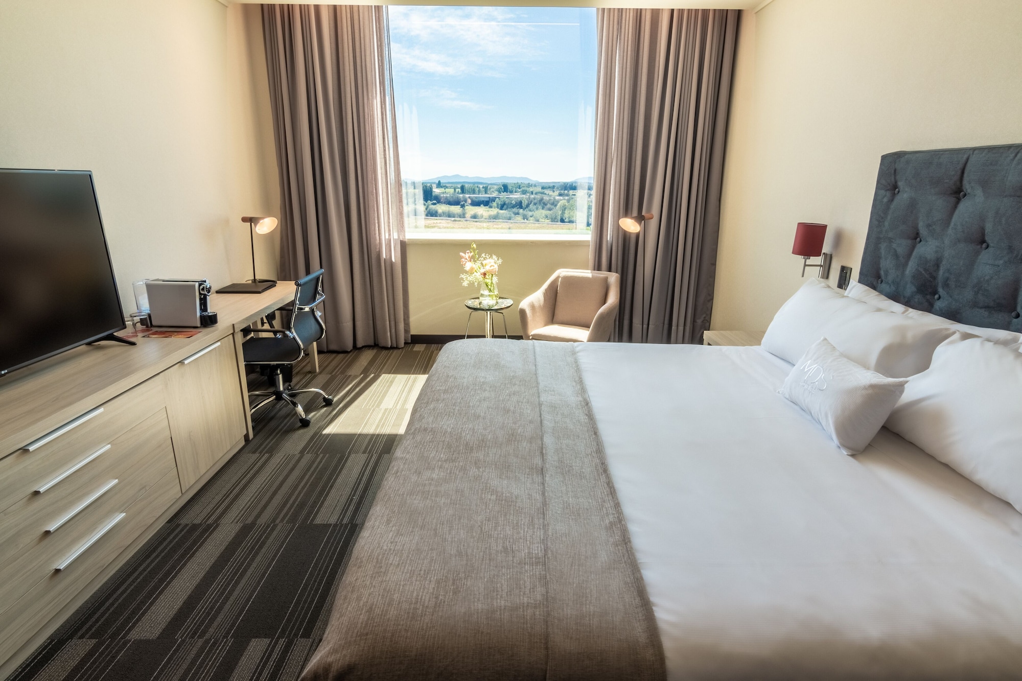 标准双人房（1张大床）