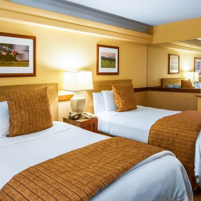 Deluxe Room, 2 Double Beds, City View The Equus Promo Code