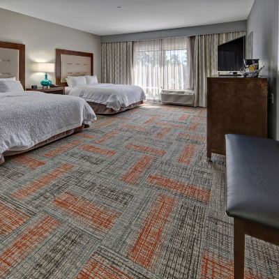 Non-Smoking Room With 2 Queen Beds And Roll-in Shower-Mobility/Hearing Accessible Hampton Inn Summerville SC Promo Code