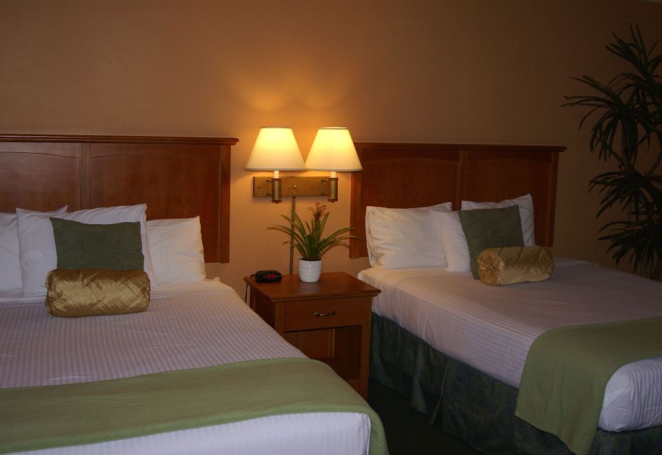 标准特大号床房