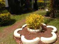 Victoria Court Hotel a Bondo