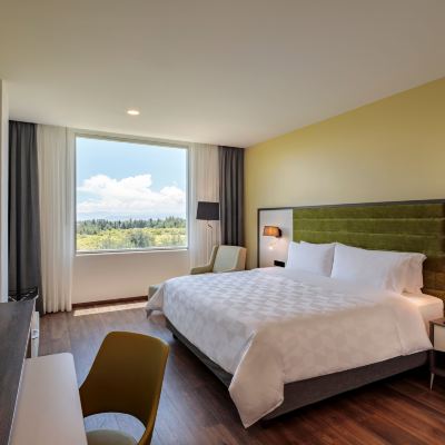 Standard Room Holiday Inn Quito Airport, an IHG Hotel Promo Code