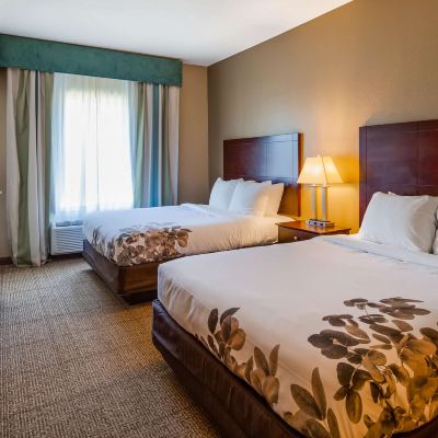 Suite-2 Queen Beds, Non-Smoking, Pet Friendly Room, Microwave, Refrigerator, Sofabed