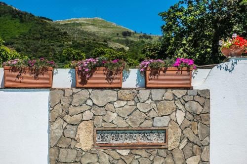 别墅（带独立泳池）