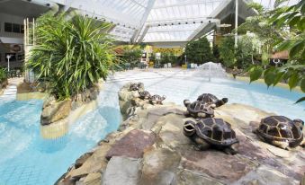 a large indoor swimming pool with a turtle sculpture on the side , surrounded by greenery and people enjoying the water at Sunparks Kempense Meren