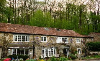 The Bark House - Housity