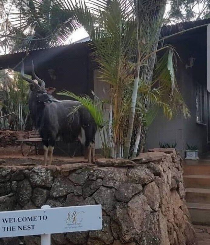 Benka Lifestyle Country Cottages - Eswatini