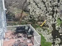 Recharge in quiet mountain neighborhood! Great 180 views! Nearby hiking &skiing! Ξενοδοχεία στην πόλη Bountiful