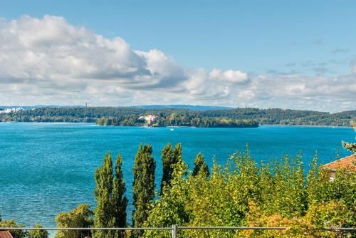 高级一卧室公寓