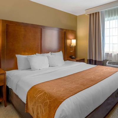 Business Suite, 1 King Bed with Sofa Bed, Accessible, Non Smoking Comfort Suites Burlington Promo Code