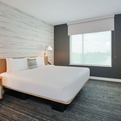 One-Bedroom King Suite With Sofa Bed TownePlace Suites by Marriott Atlanta Airport North Promo Code