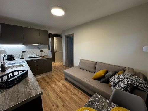 海景一卧室公寓 - 带露台